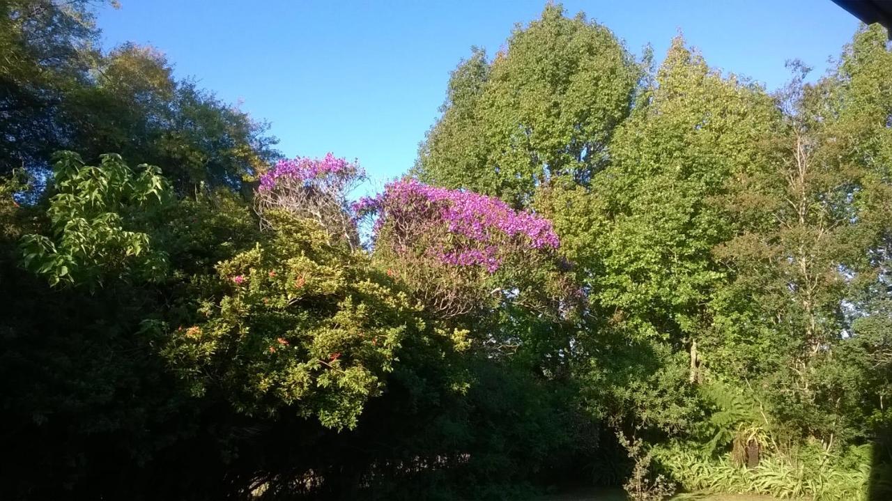 Serenity Cottage Graskop Bagian luar foto